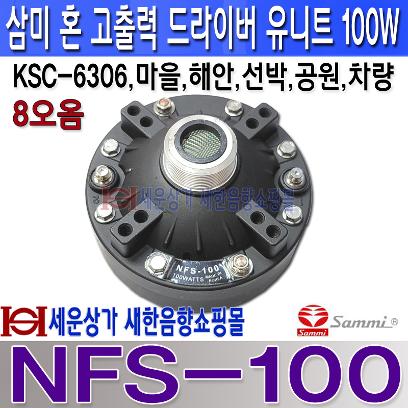 NFS-100 LOGO 복사.jpg
